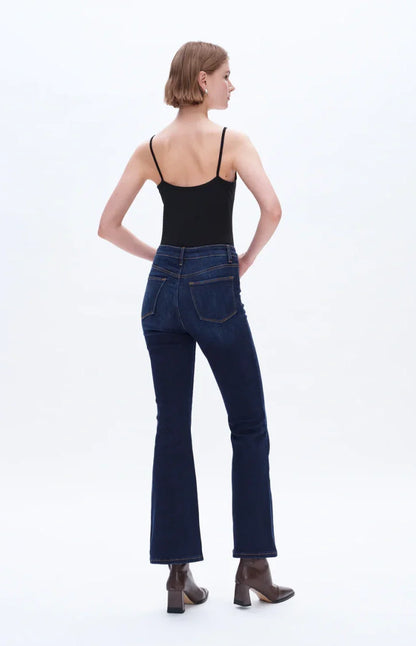 High Rise  Stretch Flare Plus Size Jeans